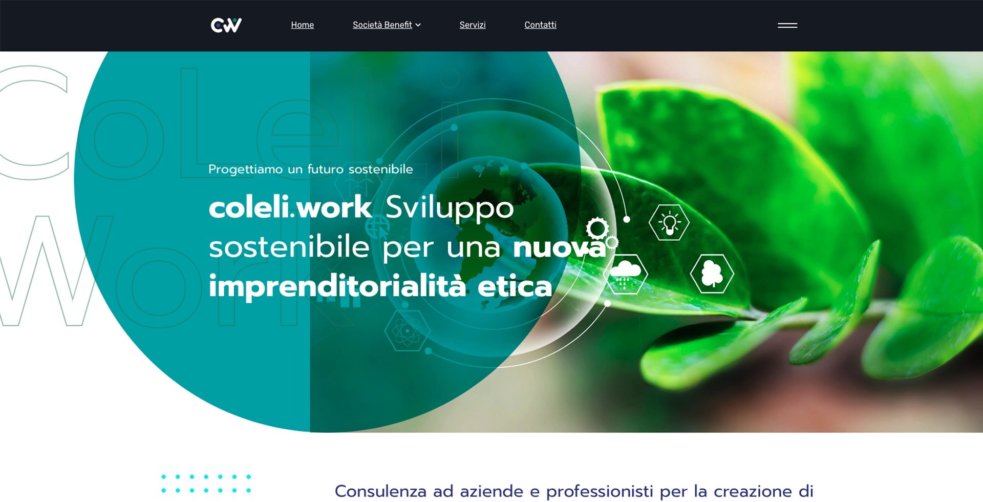 immagine home page del sito coleliwork realizzato con un cms